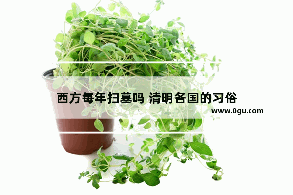 西方每年扫墓吗 清明各国的习俗