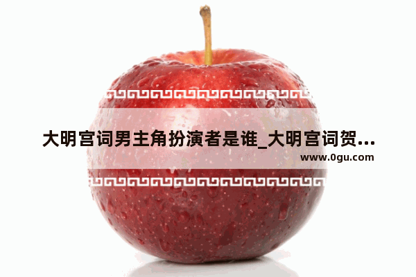 大明宫词男主角扮演者是谁_大明宫词贺兰谁演的