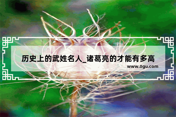 历史上的武姓名人_诸葛亮的才能有多高