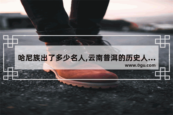 哈尼族出了多少名人,云南普洱的历史人物简介