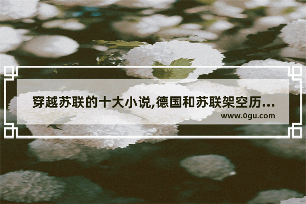 穿越苏联的十大小说,德国和苏联架空历史故事