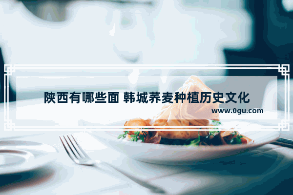 陕西有哪些面 韩城荞麦种植历史文化