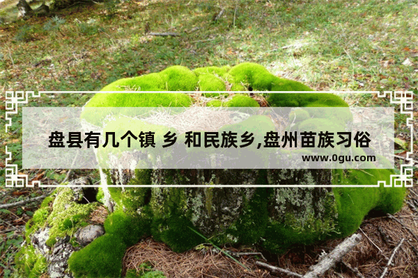 盘县有几个镇 乡 和民族乡,盘州苗族习俗