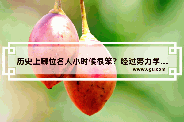 历史上哪位名人小时候很笨？经过努力学习后成才啊_红楼梦中最聪明的是谁