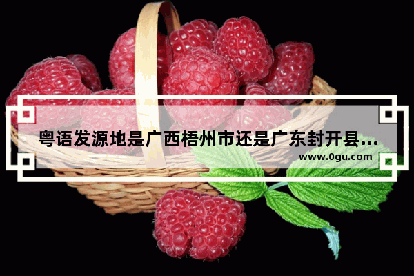 粤语发源地是广西梧州市还是广东封开县,火锅的历史及沿革故事