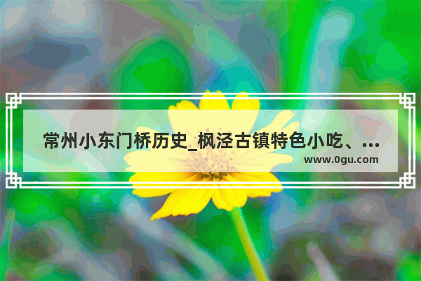 常州小东门桥历史_枫泾古镇特色小吃、景点