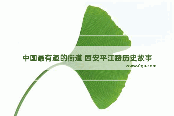 中国最有趣的街道 西安平江路历史故事