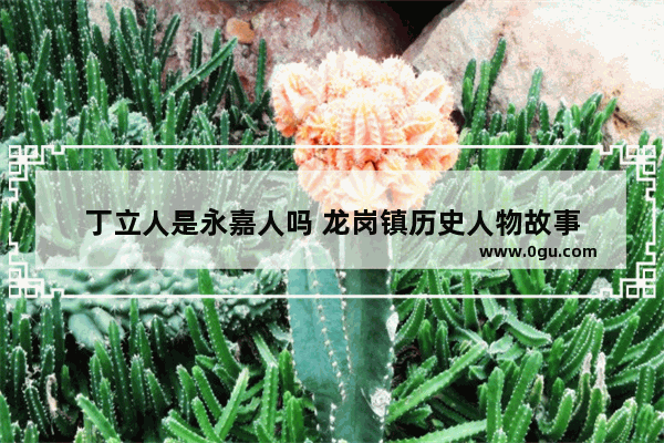 丁立人是永嘉人吗 龙岗镇历史人物故事