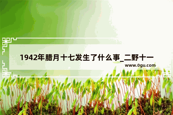 1942年腊月十七发生了什么事_二野十一纵的历史故事