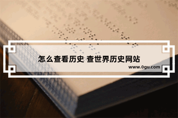 怎么查看历史 查世界历史网站