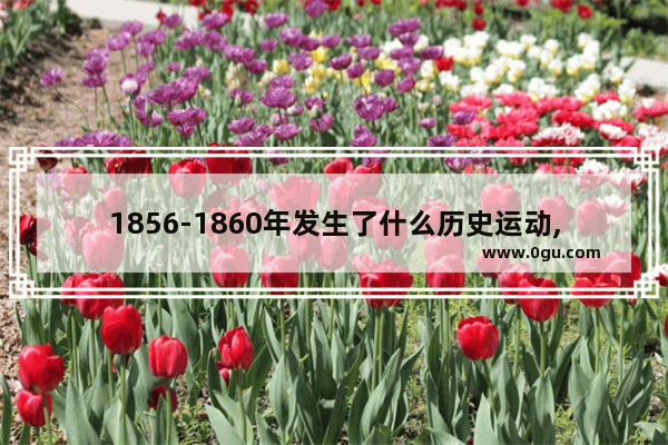 1856-1860年发生了什么历史运动,1856年的中国历史简介