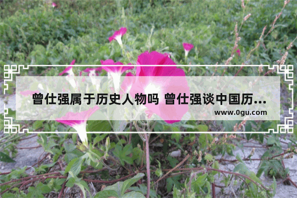 曾仕强属于历史人物吗 曾仕强谈中国历史的发展