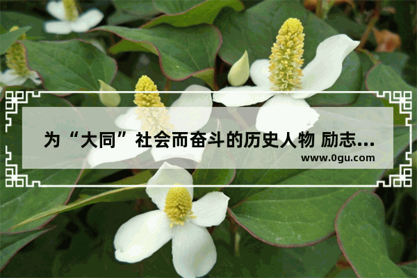 为“大同”社会而奋斗的历史人物 励志改革历史人物