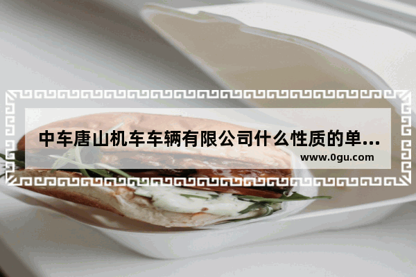 中车唐山机车车辆有限公司什么性质的单位,中国历史车辆发展中