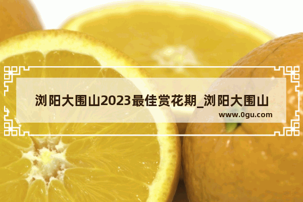 浏阳大围山2023最佳赏花期_浏阳大围山65岁以上要买门票吗
