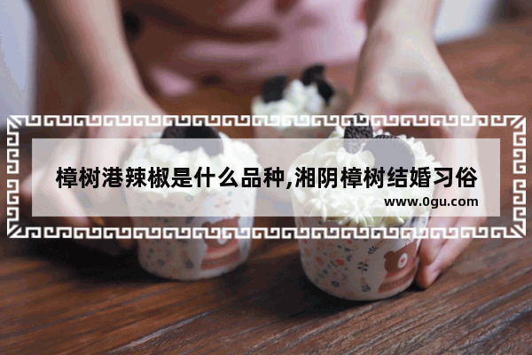 樟树港辣椒是什么品种,湘阴樟树结婚习俗