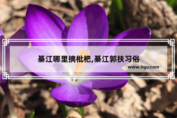 綦江哪里摘枇杷,綦江郭扶习俗