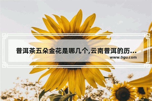 普洱茶五朵金花是哪几个,云南普洱的历史人物介绍