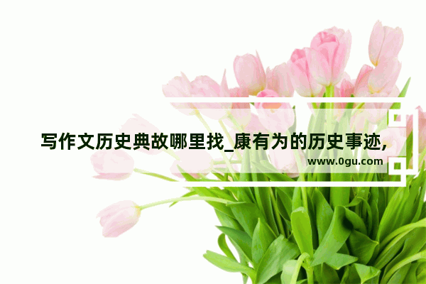 写作文历史典故哪里找_康有为的历史事迹,5点