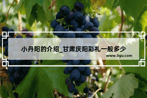 小丹阳的介绍_甘肃庆阳彩礼一般多少