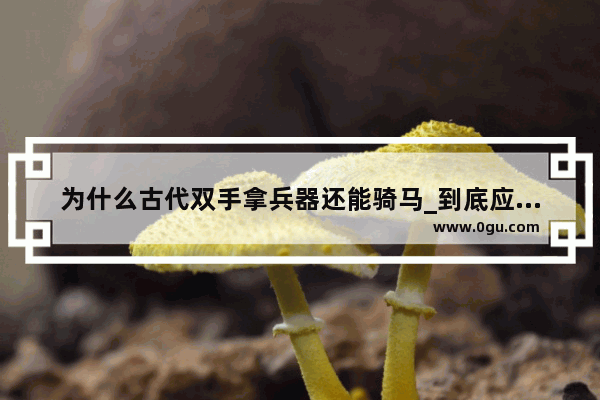 为什么古代双手拿兵器还能骑马_到底应该单手骑马还是双手