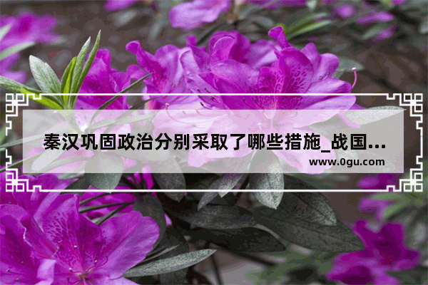 秦汉巩固政治分别采取了哪些措施_战国秦国改革和秦朝巩固采取的一个措施