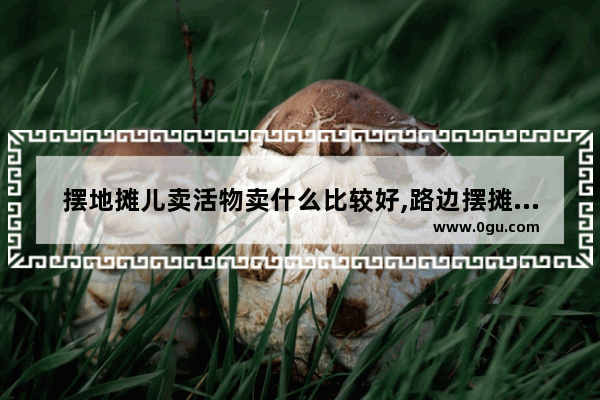 摆地摊儿卖活物卖什么比较好,路边摆摊的习俗