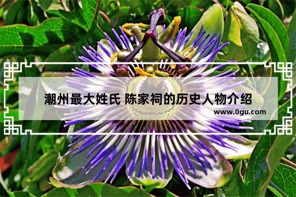 潮州最大姓氏 陈家祠的历史人物介绍