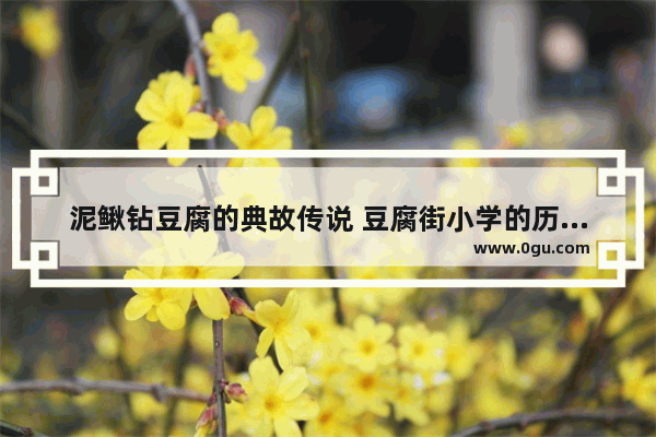 泥鳅钻豆腐的典故传说 豆腐街小学的历史故事