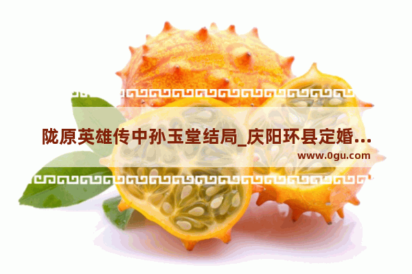 陇原英雄传中孙玉堂结局_庆阳环县定婚习俗