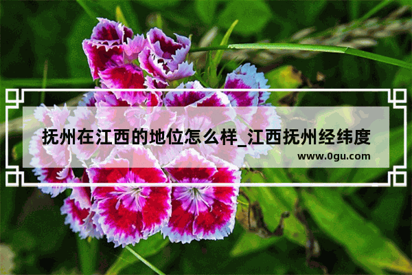 抚州在江西的地位怎么样_江西抚州经纬度