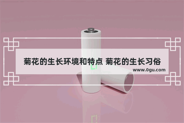 菊花的生长环境和特点 菊花的生长习俗