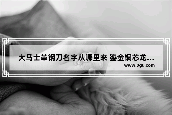 大马士革钢刀名字从哪里来 鎏金铜芯龙历史故事