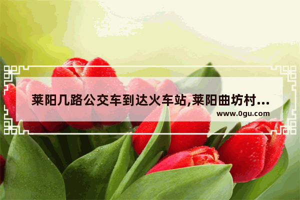 莱阳几路公交车到达火车站,莱阳曲坊村历史人物