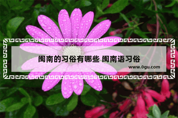 闽南的习俗有哪些 闽南语习俗