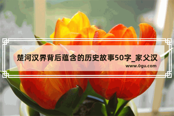 楚河汉界背后蕴含的历史故事50字_家父汉高祖内容概括