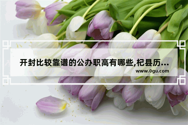开封比较靠谱的公办职高有哪些,杞县历史文化的实践报告