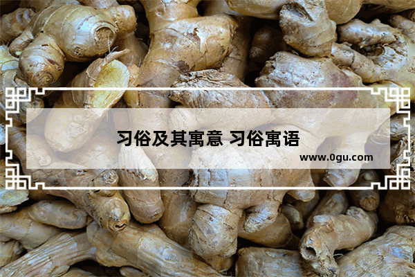 习俗及其寓意 习俗寓语