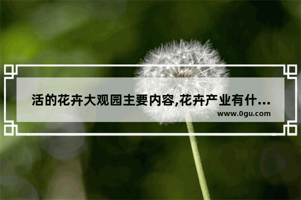 活的花卉大观园主要内容,花卉产业有什么历史文化