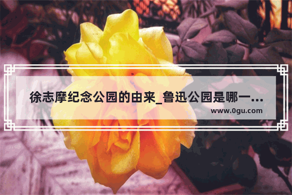 徐志摩纪念公园的由来_鲁迅公园是哪一年建立的
