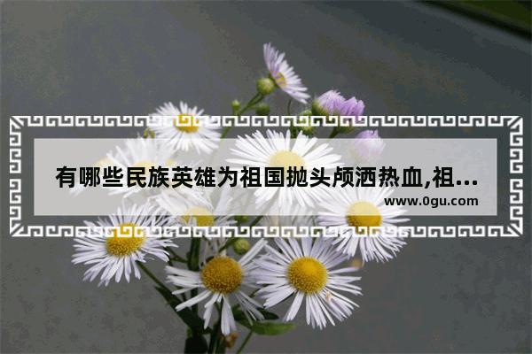 有哪些民族英雄为祖国抛头颅洒热血,祖国有哪些光辉历史人物