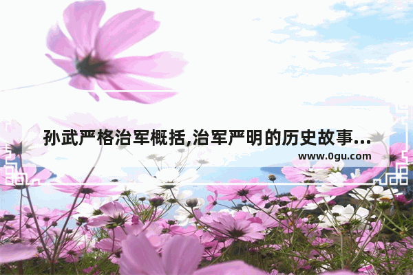孙武严格治军概括,治军严明的历史故事概括