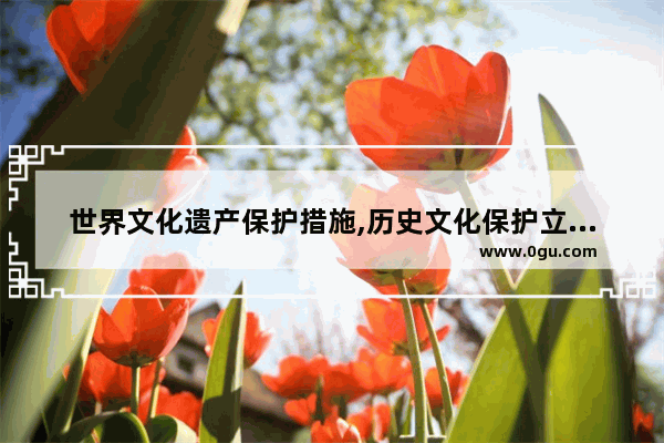 世界文化遗产保护措施,历史文化保护立法建议意见