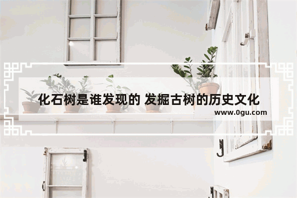 化石树是谁发现的 发掘古树的历史文化
