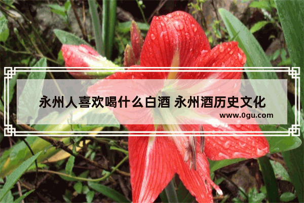 永州人喜欢喝什么白酒 永州酒历史文化