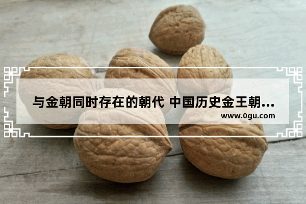 与金朝同时存在的朝代 中国历史金王朝有哪些