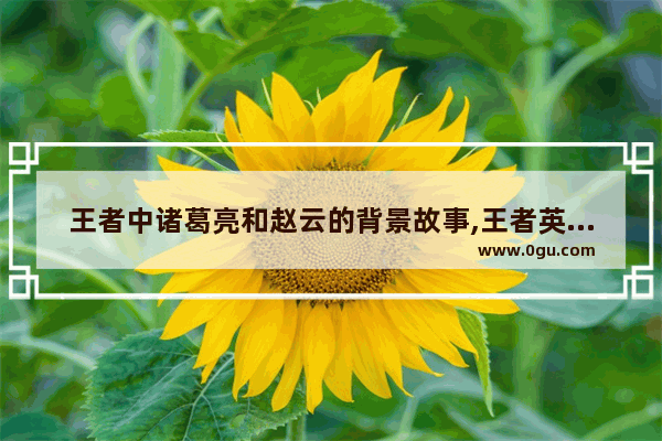 王者中诸葛亮和赵云的背景故事,王者英雄历史真实故事视频