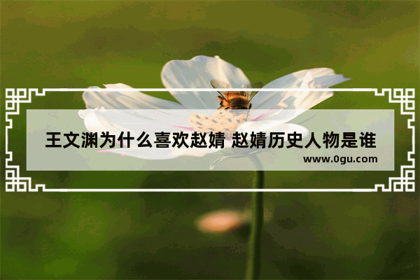 王文渊为什么喜欢赵婧 赵婧历史人物是谁