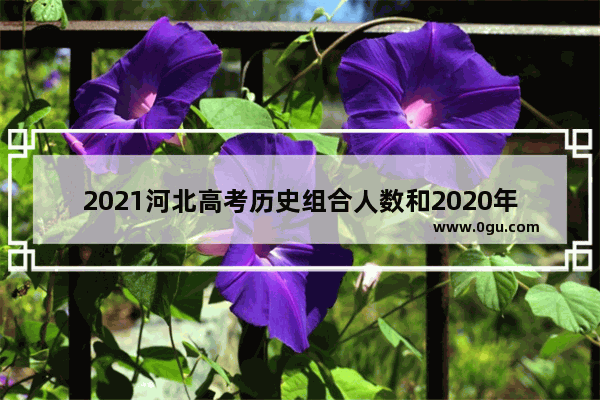 2021河北高考历史组合人数和2020年比较 世界历史组合题