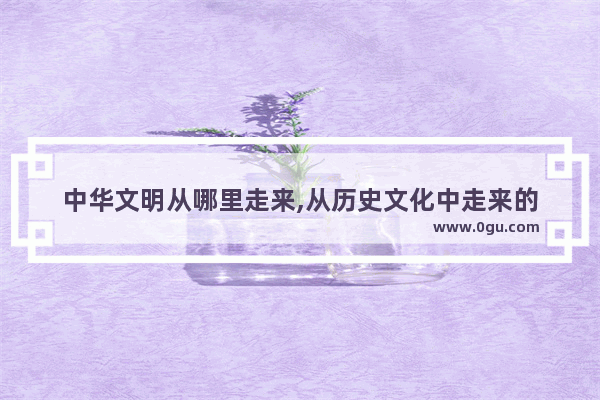 中华文明从哪里走来,从历史文化中走来的